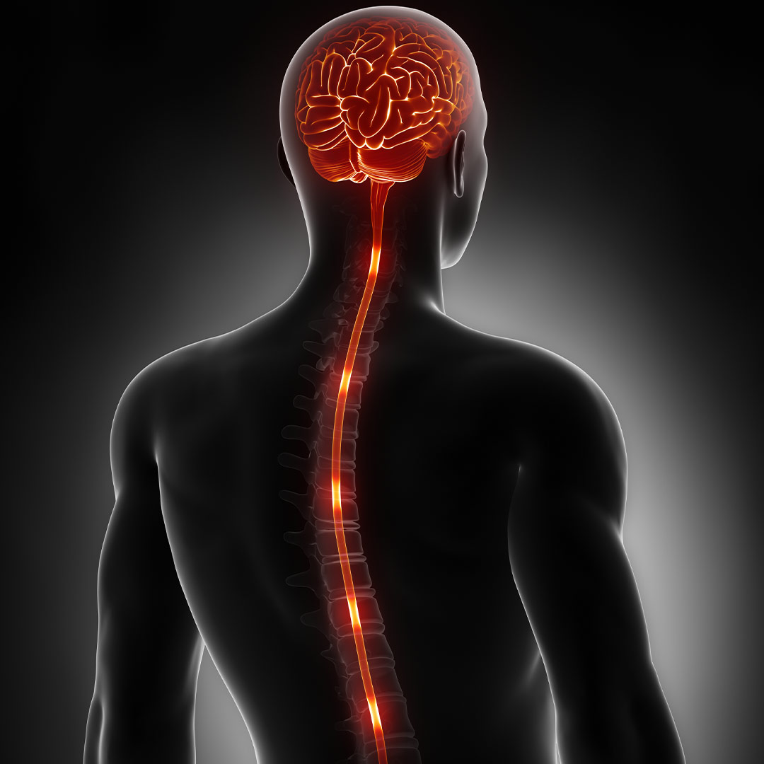 Florida Spinal Cord Stimulation - Chronic Back Pain Relief 