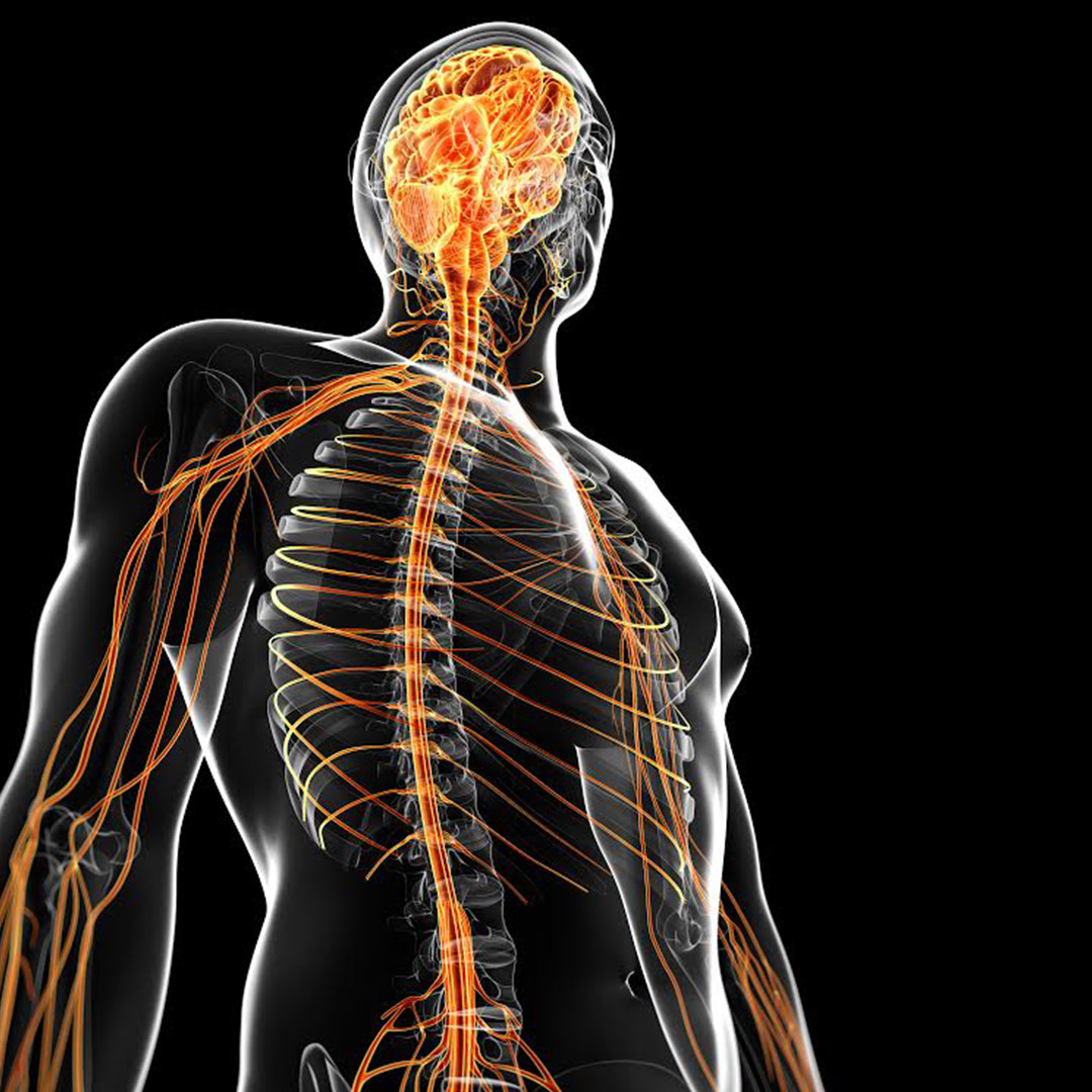 Medial Branch Block | SWCA South Florida Pain Management